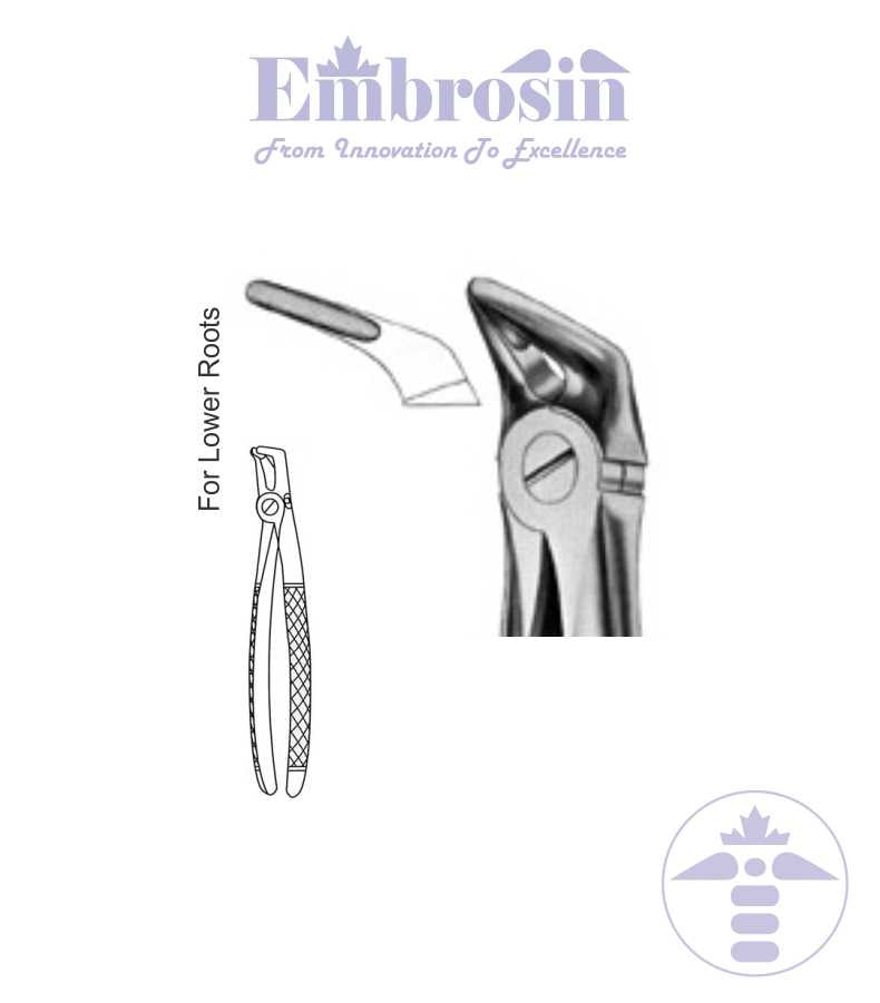 GE08-097 - Extracting Forceps (English Patterns), No. 31, Lower Roots