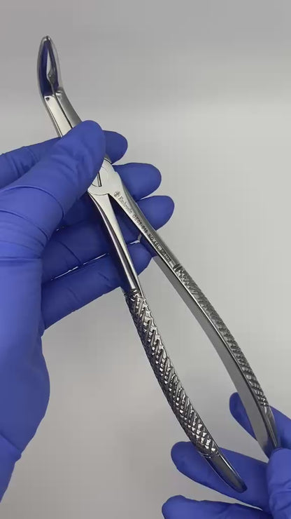 GE08-019 - Extracting Forceps (English Patterns), No. 46L