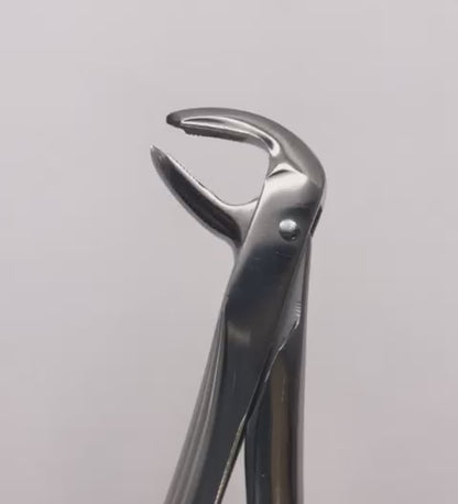 GE08-017 - Extracting Forceps (English Patterns), No. 73, Lower Molars