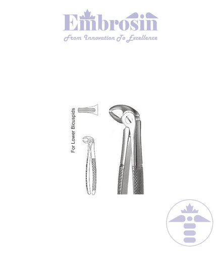 GE08-005 - Extracting Forceps (English Patterns), No. 13