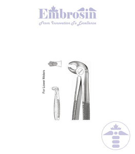 GE08-008 - Extracting Forceps (English Patterns), No. 22, Lower Molars