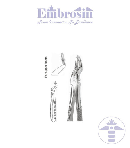 GE08-011 - Extracting Forceps (English Patterns), No. 51