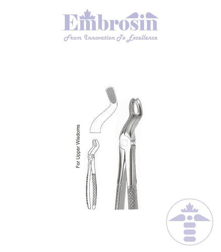 GE08-016 - Extracting Forceps (English Patterns), No. 67A, Upper Molar; 3rd
