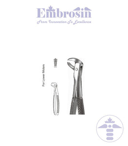 GE08-017 - Extracting Forceps (English Patterns), No. 73, Lower Molars