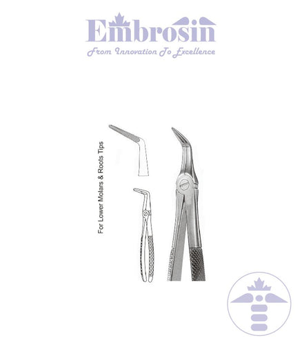 GE08-019 - Extracting Forceps (English Patterns), No. 46L