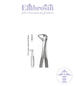GE08-021 - Extracting Forceps (English Patterns), No. 74N