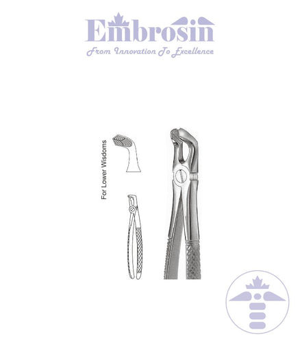 GE08-022 - Extracting Forceps (English Patterns), No. 79, Lower Molar