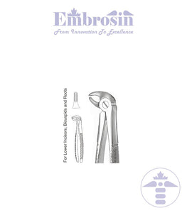 GE08-027 - Extracting Forceps (English Patterns), Mead, No. MD3, Lower Incisors, and Roots