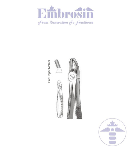 GE08-030 - Extracting Forceps (English Patterns), Mead, No. MD2, Upper Molars