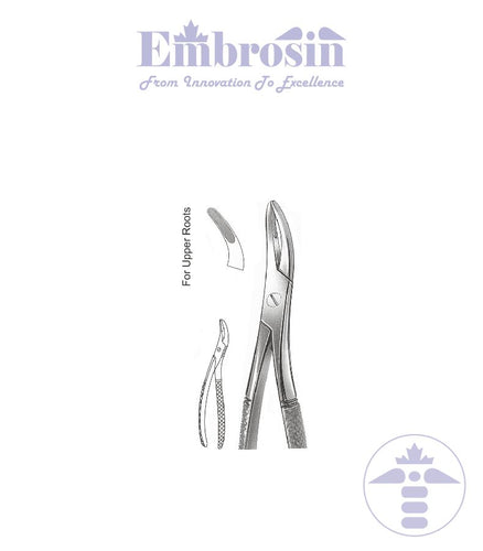 GE08-031 - Extracting Forceps (English Patterns), Witzel, No. 501, for Upper Roots