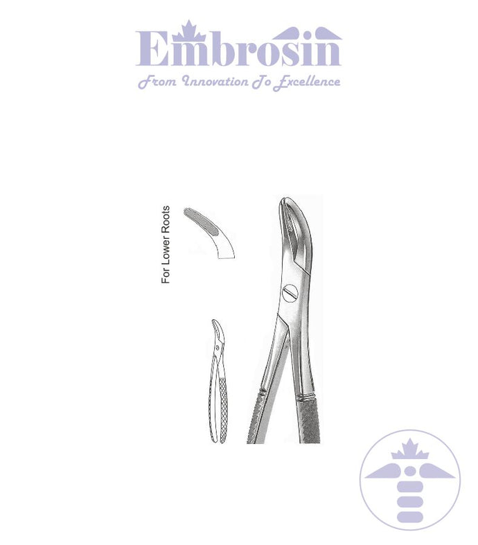 GE08-032 - Extracting Forceps (English Patterns), Witzel, No. 502, for Lower Roots