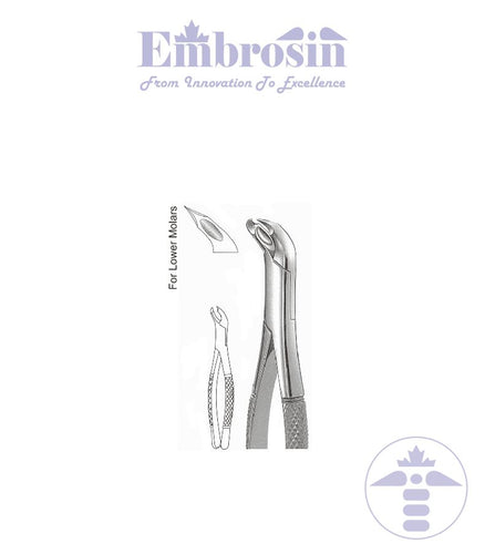 GE08-049 - Extracting Forceps (American Patterns), Woodwards, No. 3 FS
