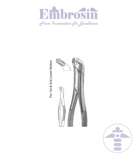 GE08-056 - Extracting Forceps (American Patterns), No. 17, Lower Molar
