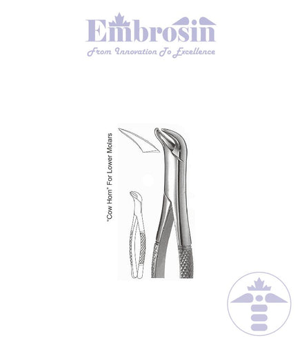 GE08-061 - Extracting Forceps (American Patterns), No. 23, Cowhorn