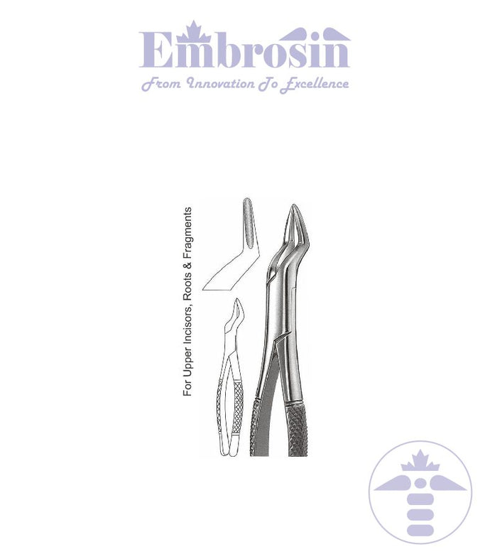 GE08-069 - Extracting Forceps (American Patterns), No. 65, Upper Incisors and Roots