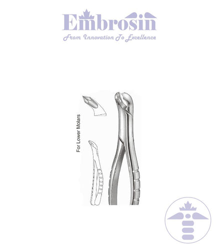 GE08-090 - Extracting Forceps (American Patterns), No. 217, Lower Molar