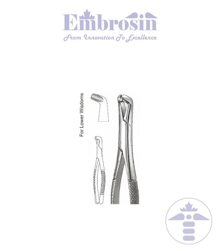 GE08-091 - Extracting Forceps (American Patterns), No. 222, Lower Molar
