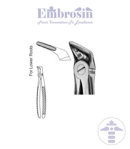 GE08-097 - Extracting Forceps (English Patterns), No. 31, Lower Roots